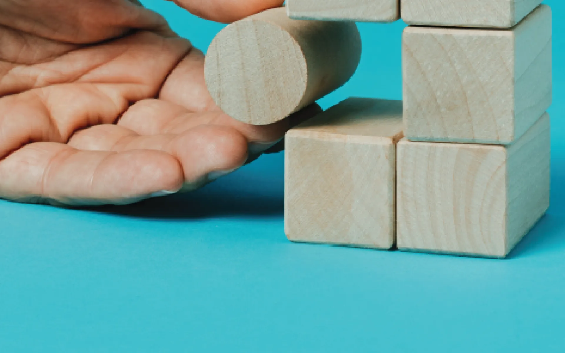 Studie Skills Mismatch