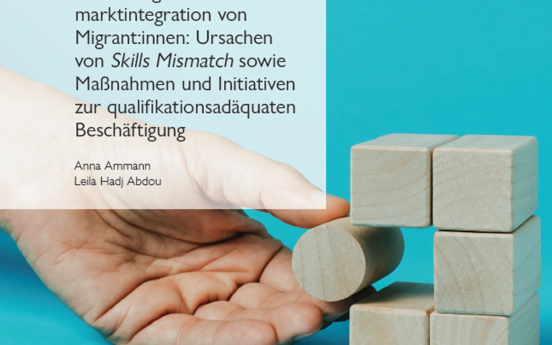 Studie Skills Mismatch