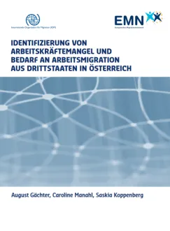 Identifizierung von Arbeitskräftemangel und Bedarf an Arbeitsmigration aus Drittstaaten in Österreich