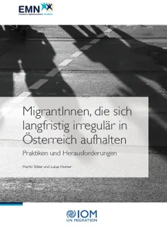 MigrantInnen, die sich langfristig irregulär in Österreich aufhalten. Praktiken und Herausforderungen